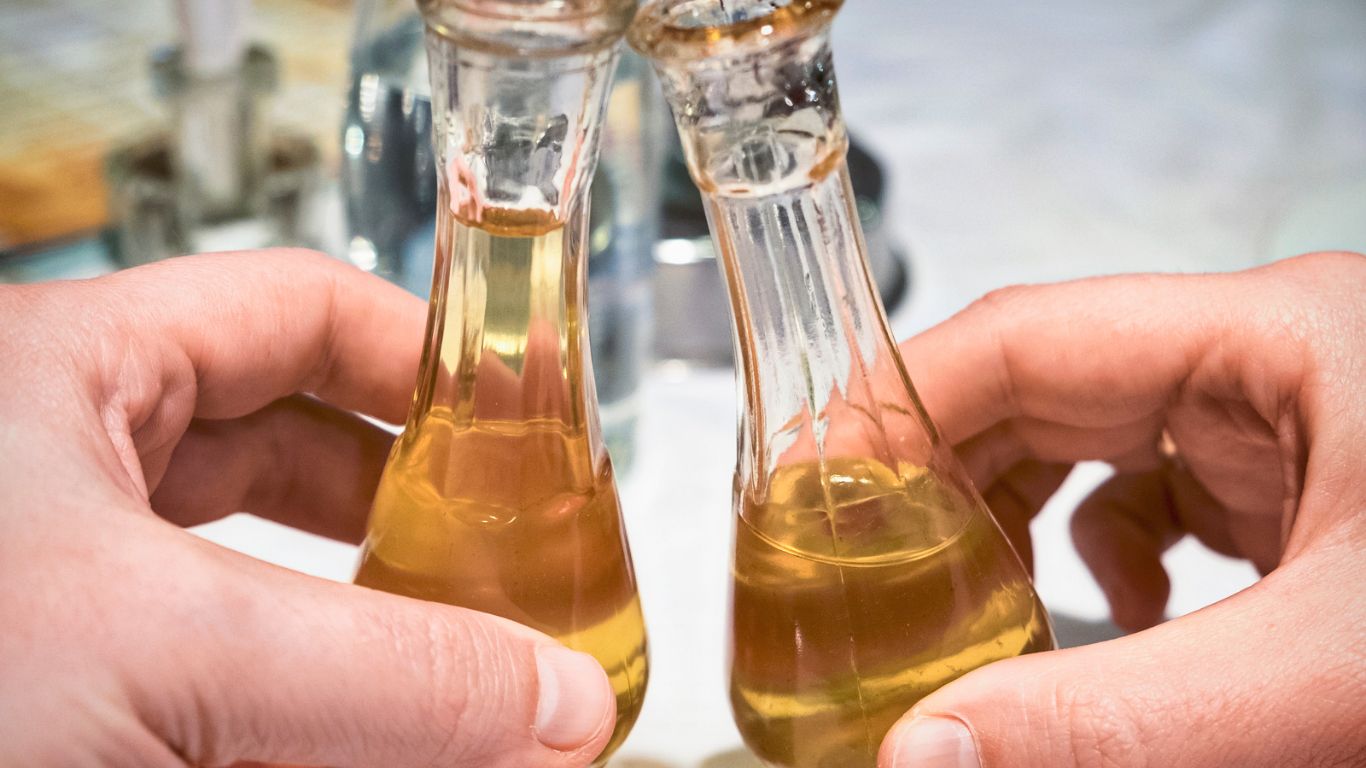 Untitled design bbnnn Untitled design bbnnn